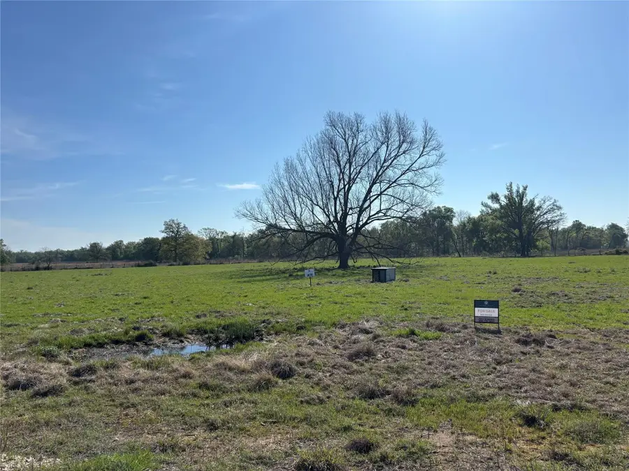 Lot 85 County Road 231, Centerville, TX 75833 - #3