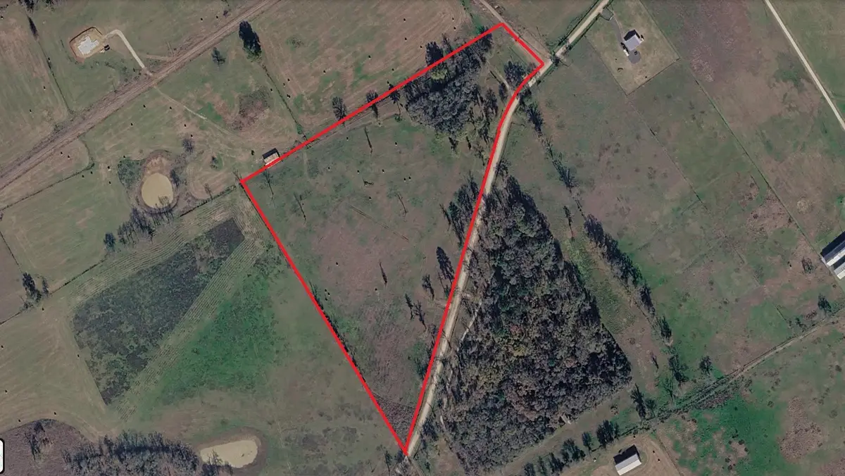 TRS 53 & 54 Cr 231, Centerville, TX 75833 - #1