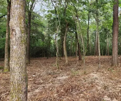 7595 Broussard Road, Beaumont, TX 77713