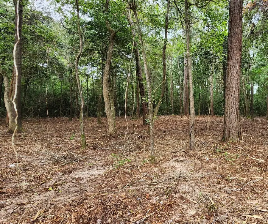 7595 Broussard Road, Beaumont, TX 77713 - #3