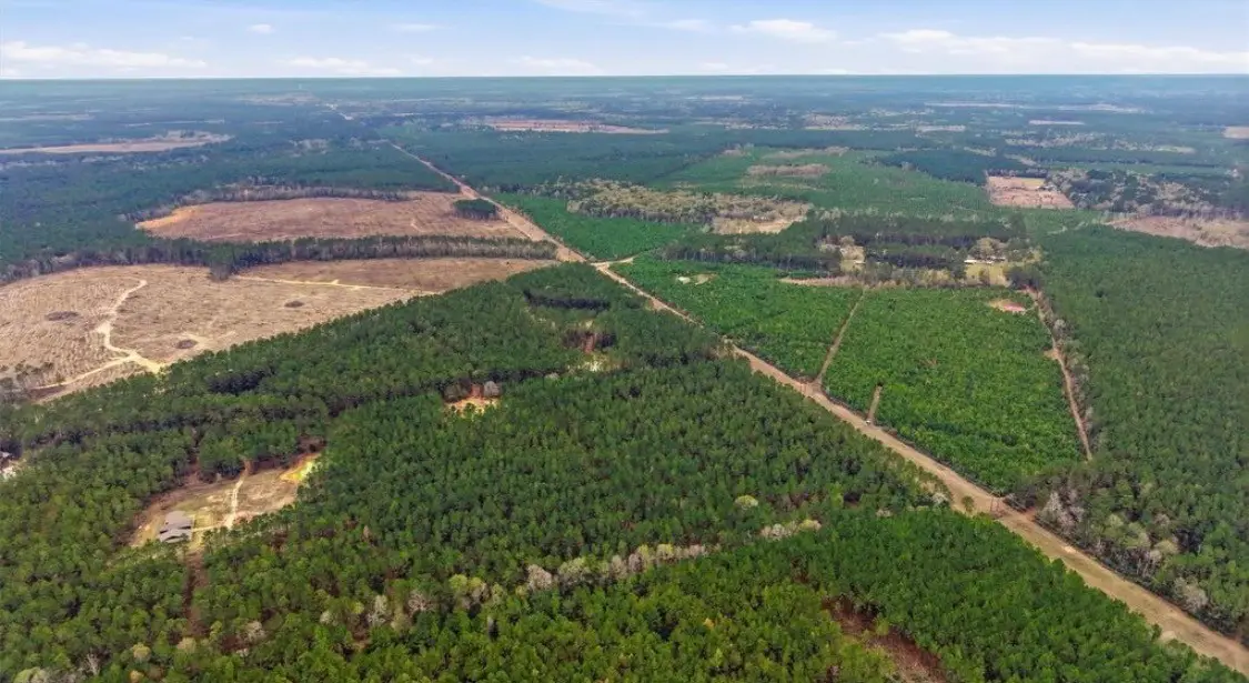 1208 Holly Grove Road, Livingston, TX 77351 - #1