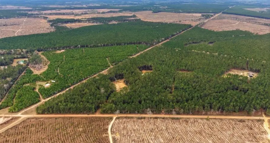 1208 Holly Grove Road, Livingston, TX 77351 - #2