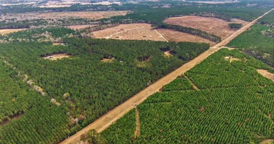 1208 Holly Grove Road, Livingston, TX 77351 - #3