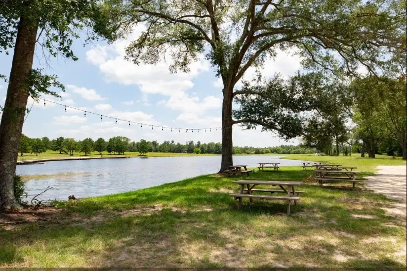 11830 Moss Grove Court, Willis, TX 77378 - #1