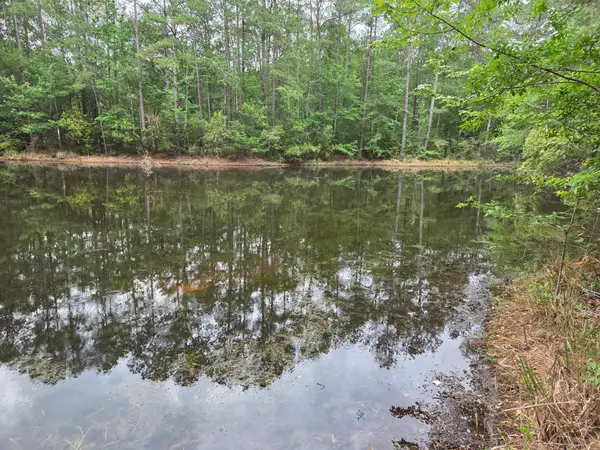 0 Hortman Lane, Saratoga, TX 77585