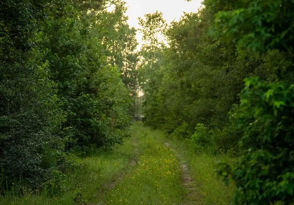 39 Coyote Run, Willis, TX 77378 - Image #1