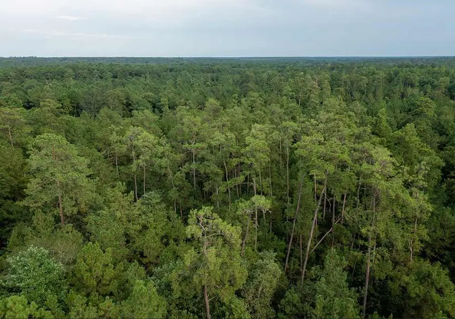 39 Coyote Run, Willis, TX 77378 - Image #2