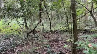 #2