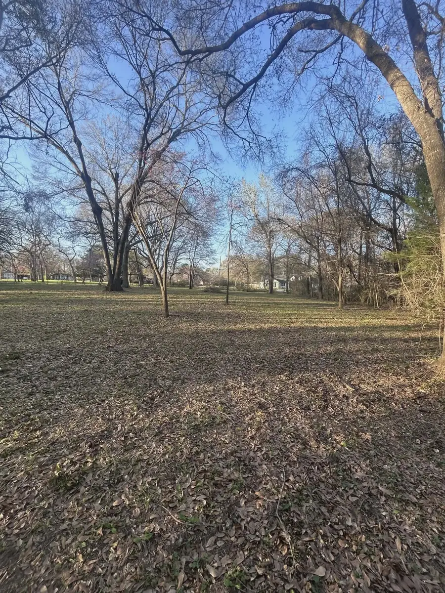 13311 Country Run Drive, Willis, TX 77318 - #2