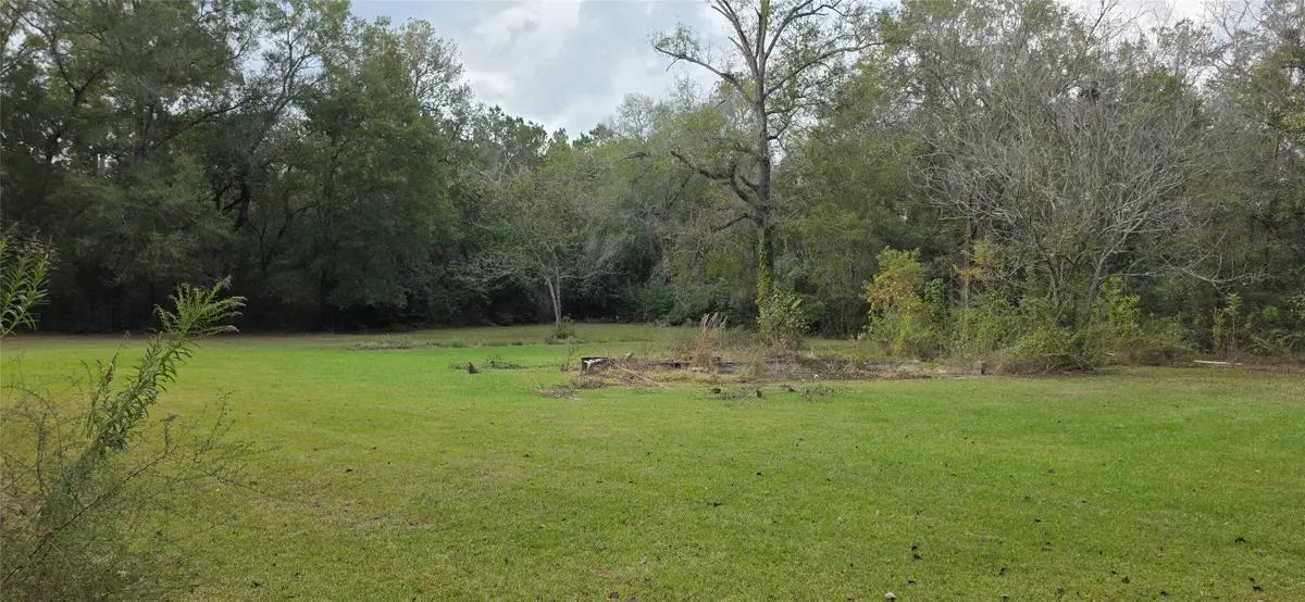 149 Green Street, New Caney, TX 77357 - Image #1