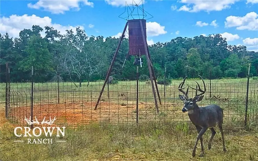 TBD Fm 908 - 1057 Acres, Caldwell, TX 77836 - #3