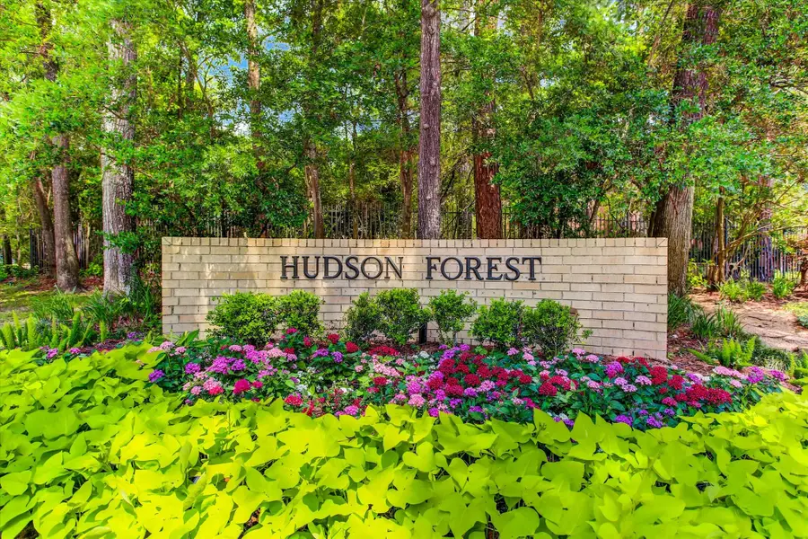 8999 Briar Forest Drive, Houston, TX 77024 - #2