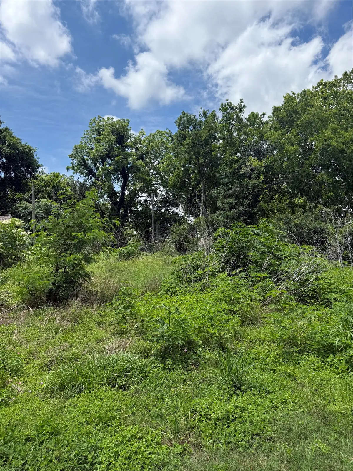 207 Prune Street, La Marque, TX 77568 - #1