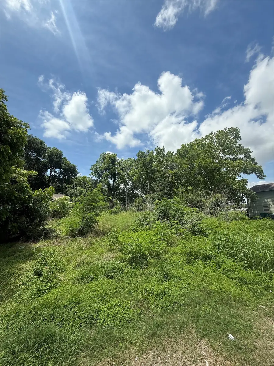 207 Prune Street, La Marque, TX 77568 - #3