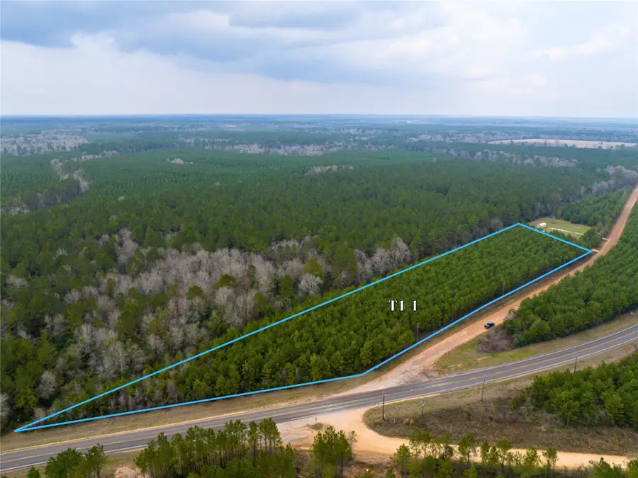 3 Menard Chapel Road, Livingston, TX 77351 - #2