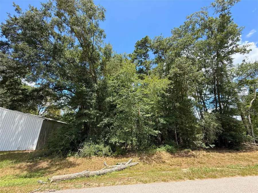 0 Colesseum Court S, Roman Forest, TX 77357 - #3