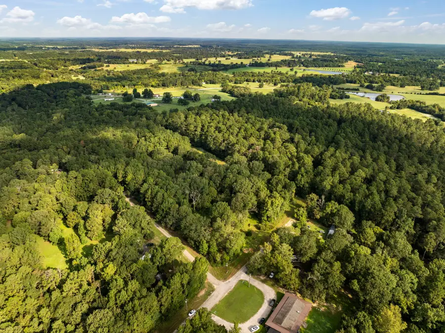 2 Pine Street Spur, New Waverly, TX 77358 - Image #2