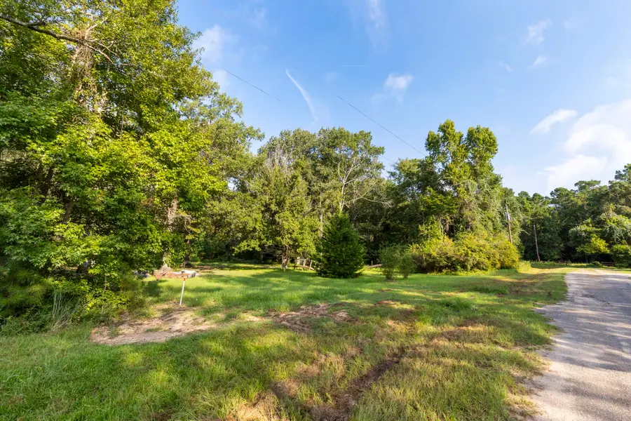 2 Pine Street Spur, New Waverly, TX 77358 - Image #3