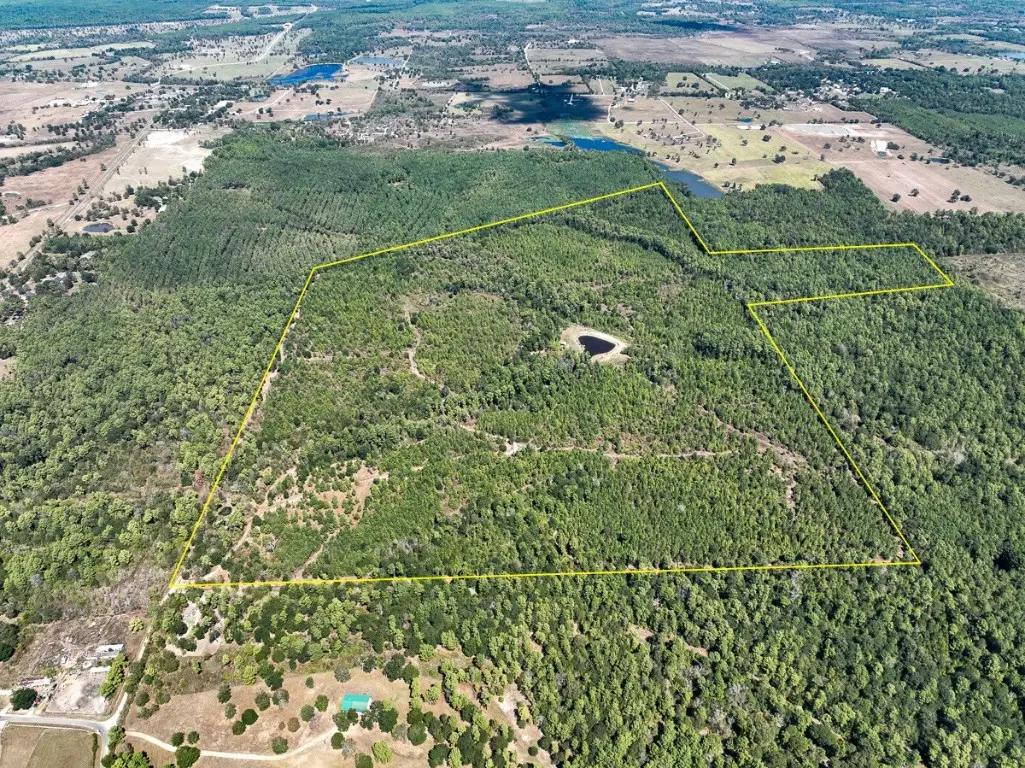 1 Murray Lane, Huntsville, TX 77320 - #1