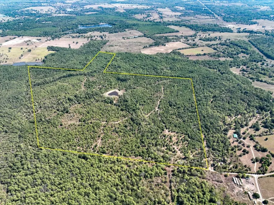 1 Murray Lane, Huntsville, TX 77320 - #3
