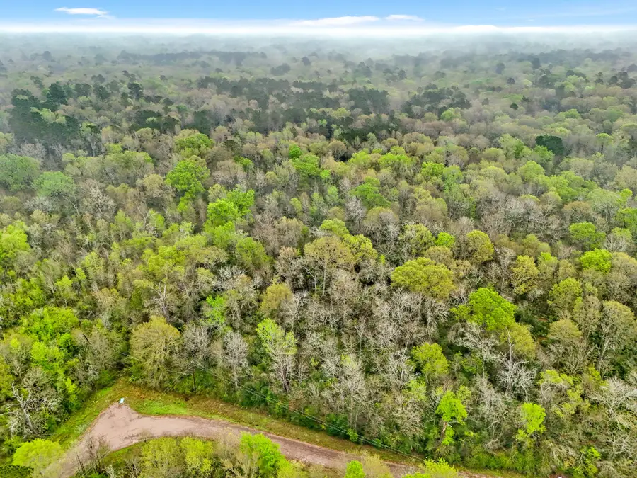 10211 S Essex Drive, Conroe, TX 77302 - #2