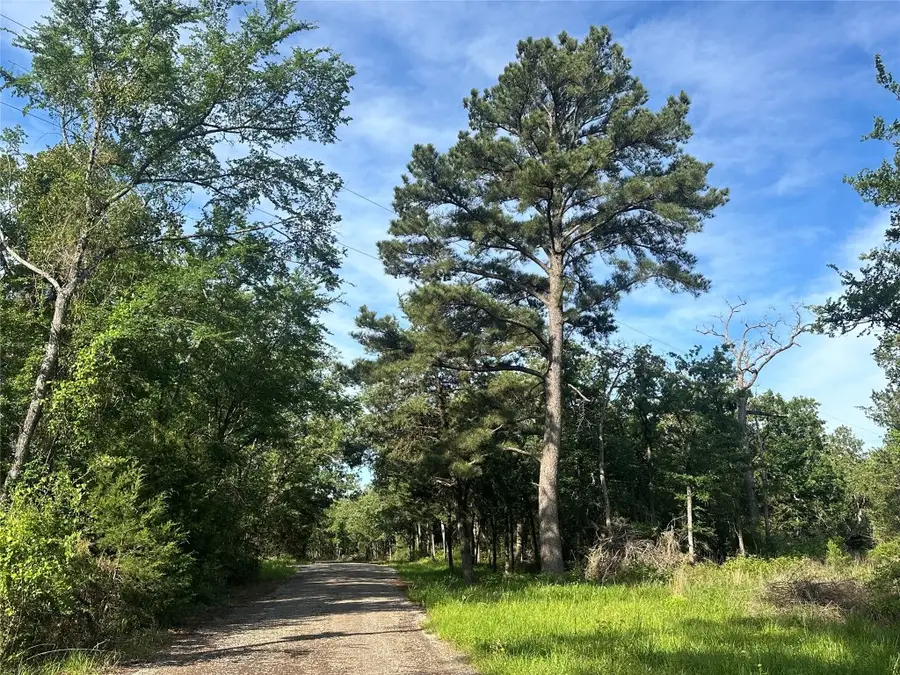 9AC Cr 770, Buffalo, TX 75831 - #2