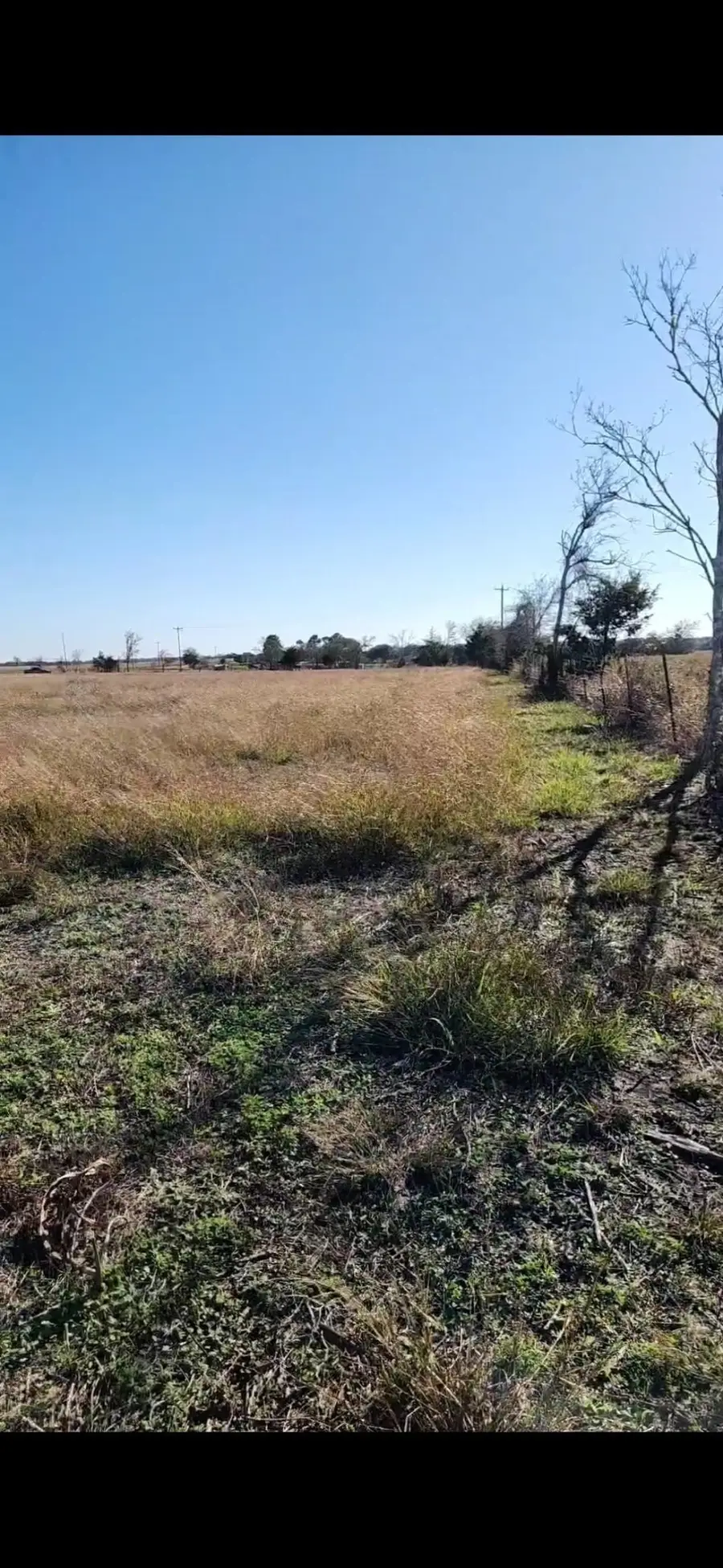 0 Fm 155 S, Weimar, TX 78962 - #3