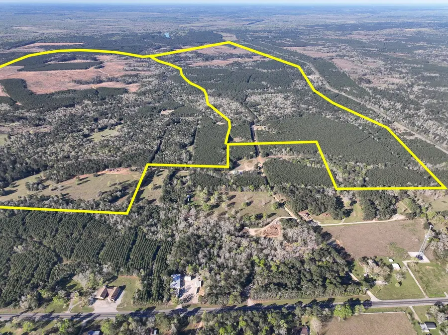 03 Highway 146, Livingston, TX 77351 - #2