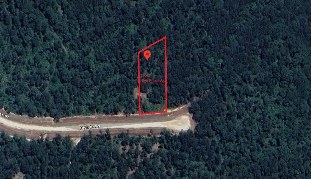 12087 High Branch Way, Willis, TX 77378 - Image #1