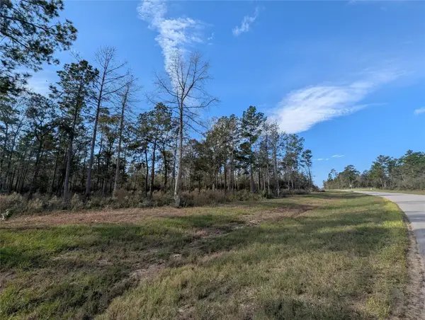 10698 Ruger Road, Willis, TX 77378