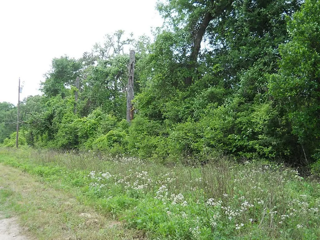 24648 Derry Street, Hempstead, TX 77445 - #1