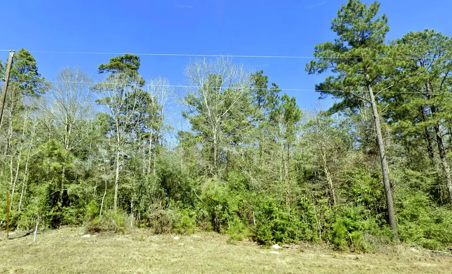 9-2-24 Windmill Road, New Waverly, TX 77358 - #2