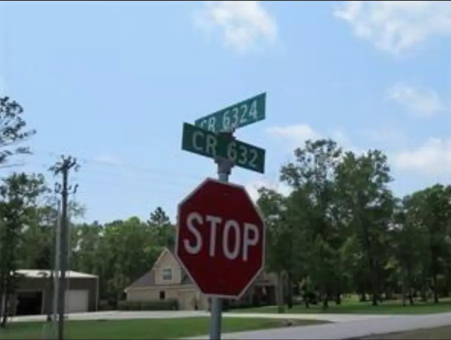 1230 County Road 6324, Dayton, TX 77535 - #2