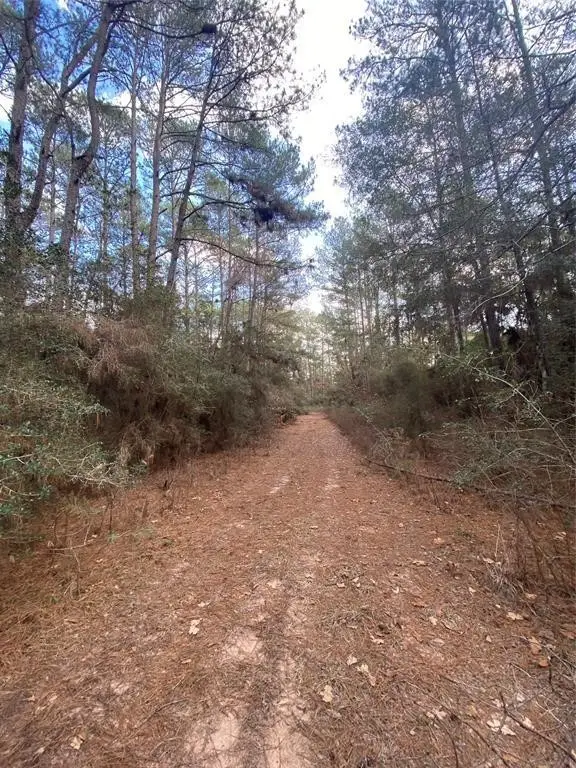 0 Medicine Man Circle, Hempstead, TX 77445 - #3