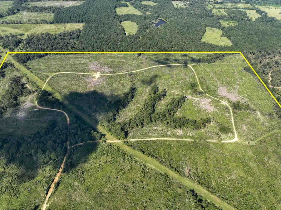 1 County Road 4916, Timpson, TX 75975 - #2