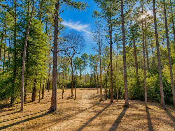 17819 Indigo Hills Drive, Magnolia, TX 77355