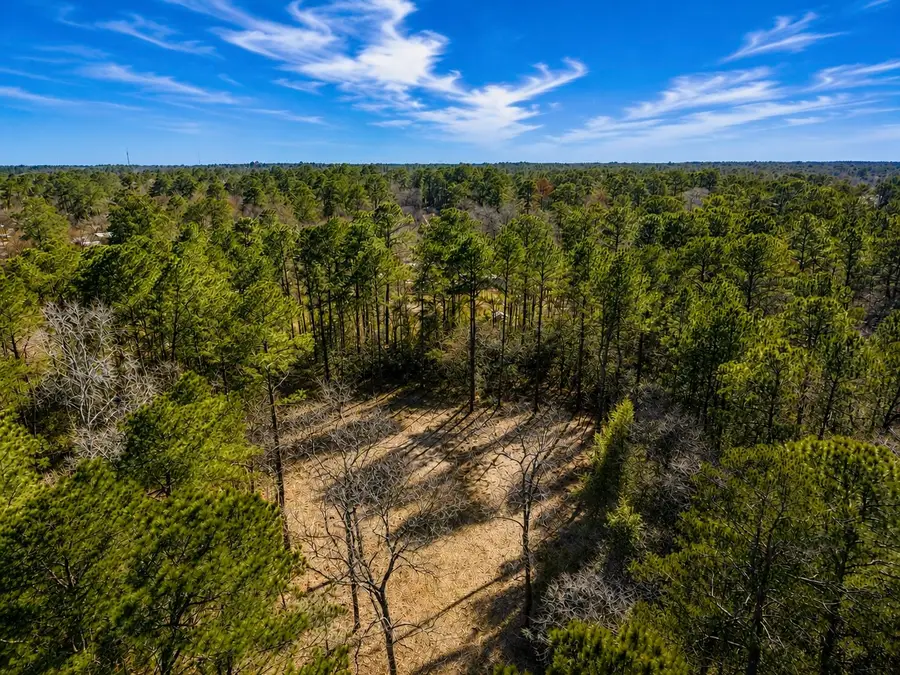 17819 Indigo Hills Drive, Magnolia, TX 77355 - #3