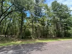 0 Hackberry Ct, Huntsville, TX 77320 - #2