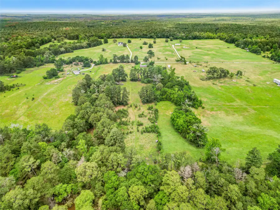 165 Davidson Road, Huntsville, TX 77320 - #3