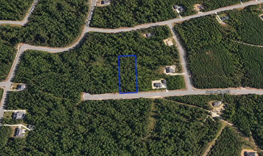 16302 Golden Wood Court, Willis, TX 77378 - #3
