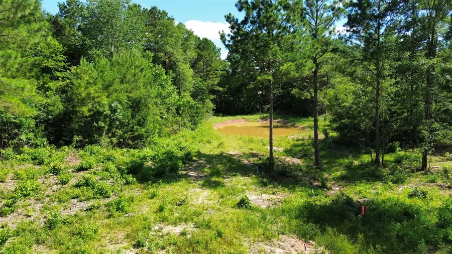 434 Piney Creek Estates Rd, Timpson, TX 75975 - #2