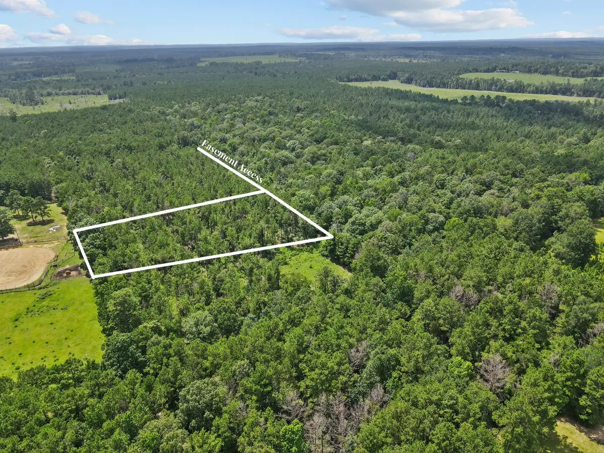 4012 Fm 2992, Spurger, TX 77660 - #1