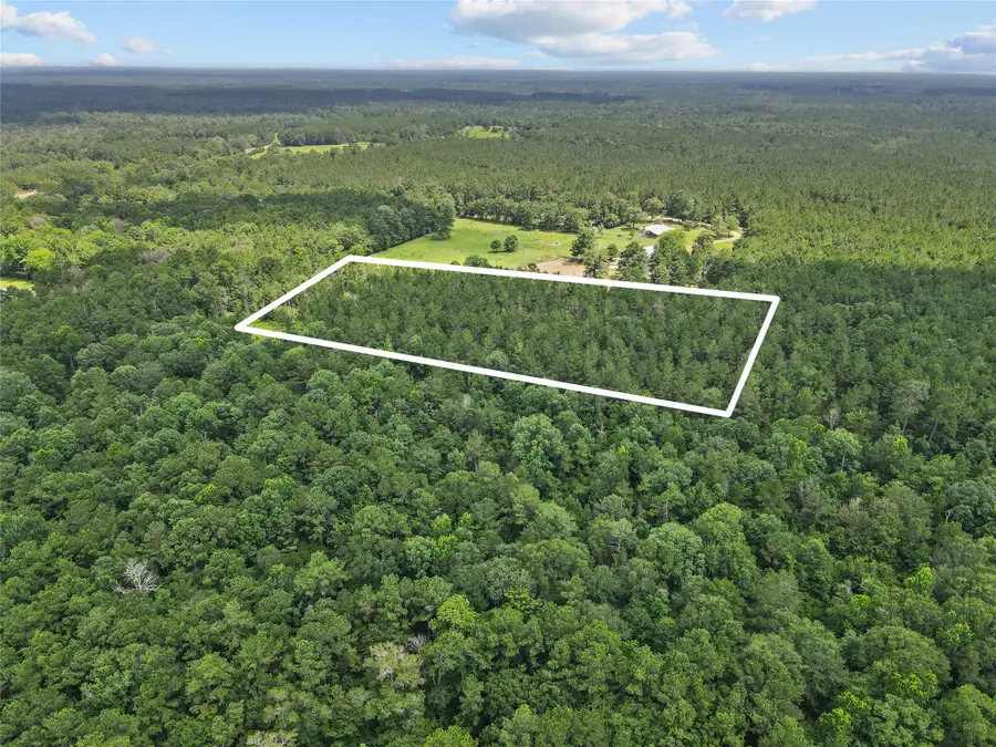 4012 Fm 2992, Spurger, TX 77660 - #2