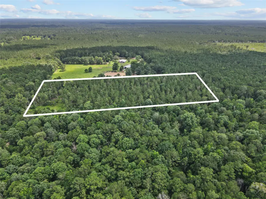 4012 Fm 2992, Spurger, TX 77660 - #3