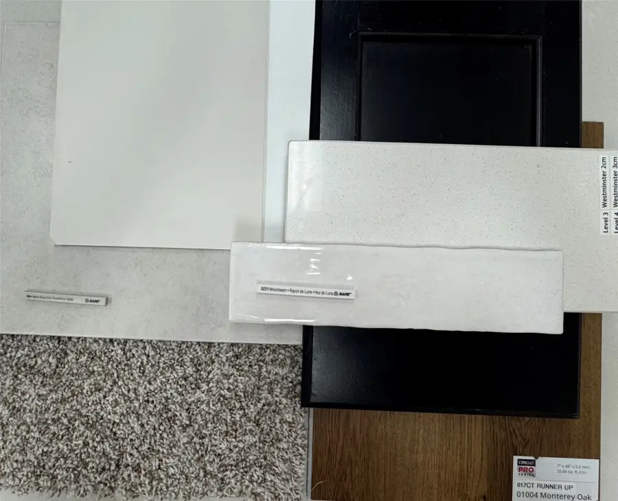 18782 Lucas Michael Way, New Caney, TX 77357 - #2