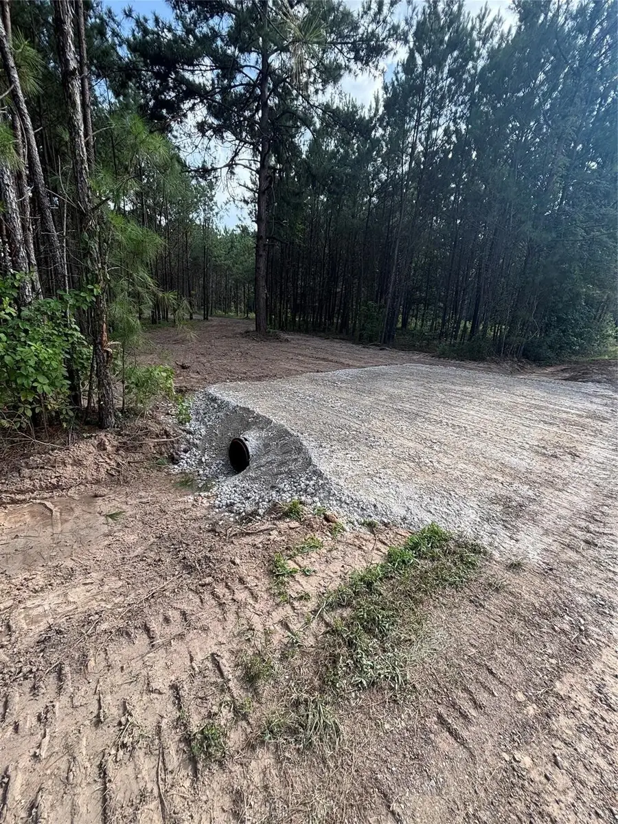 TBD County Road 3015 - Tract C3, Dayton, TX 77535 - Image #2