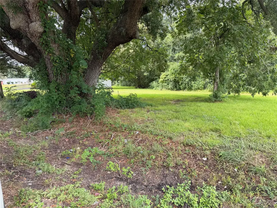 000 W Miller Street, Angleton, TX 77515 - #2