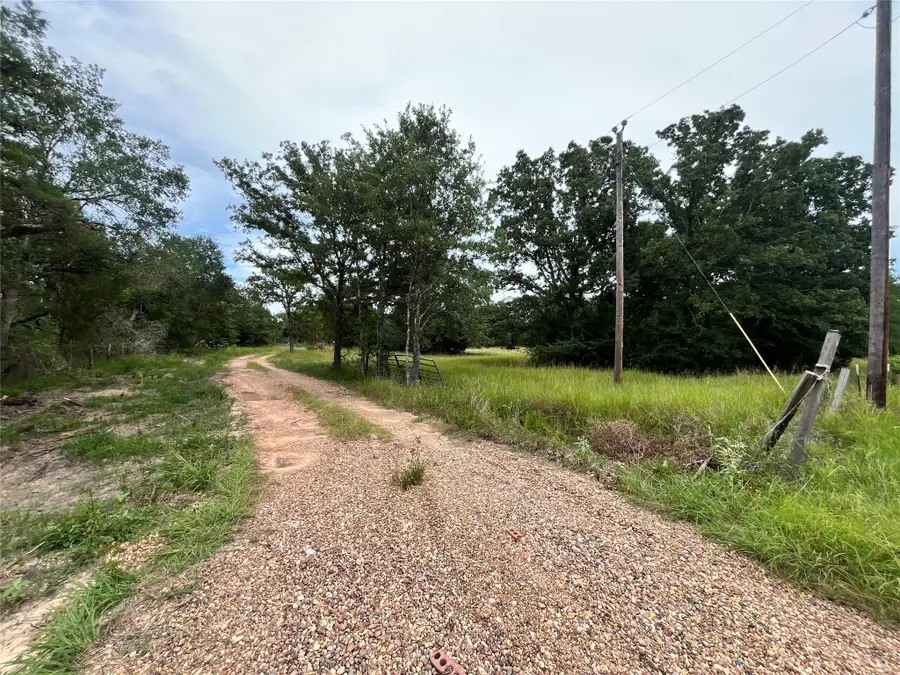22243 Kmiec Road, Hempstead, TX 77445 - #2
