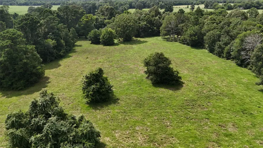 TBD Jones Road, New Waverly, TX 77358 - #2