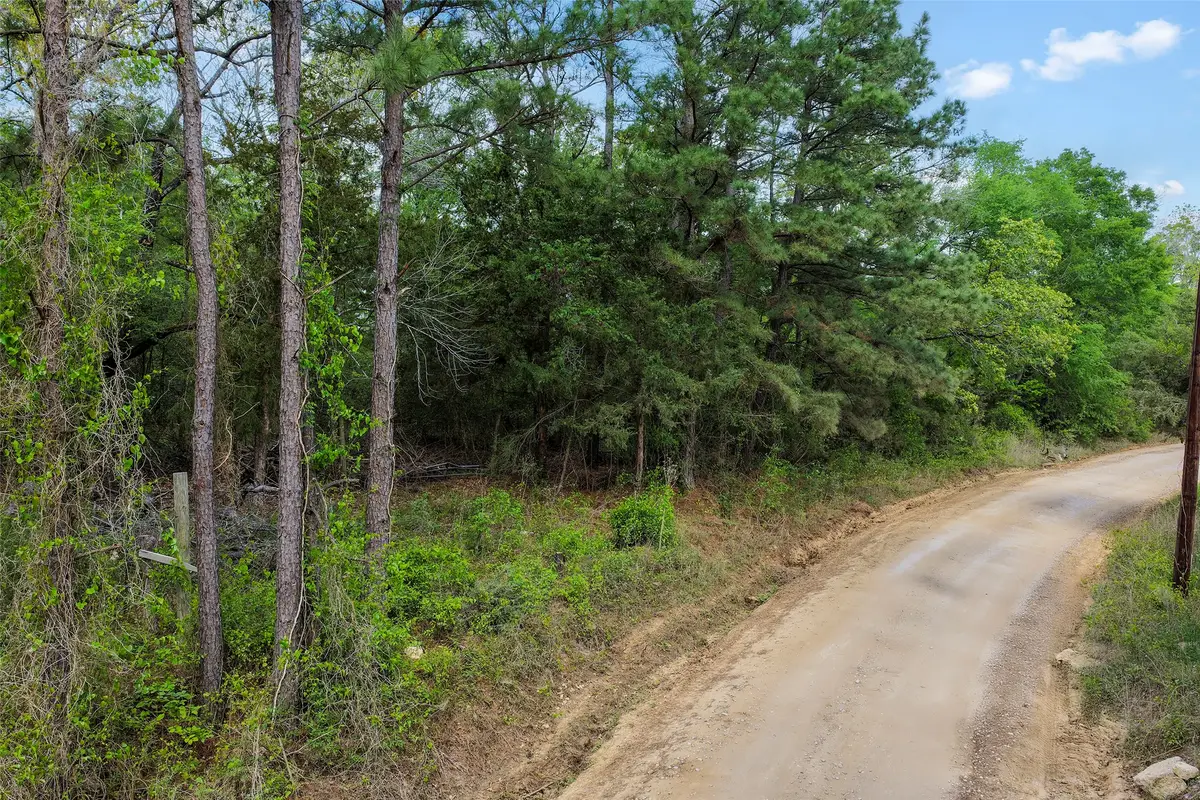 173 Townley Ranch Drive, Huntsville, TX 77320 - #1